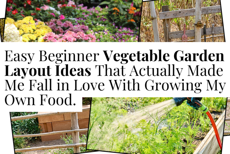 Vegetable Garden Layout