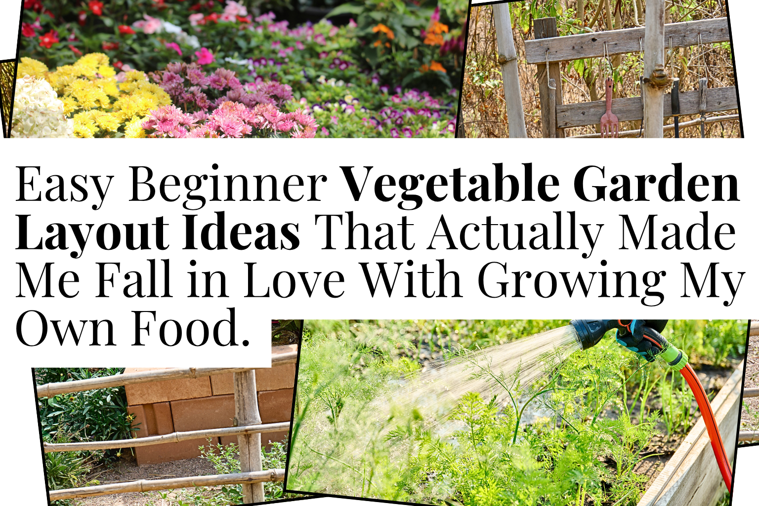 Vegetable Garden Layout