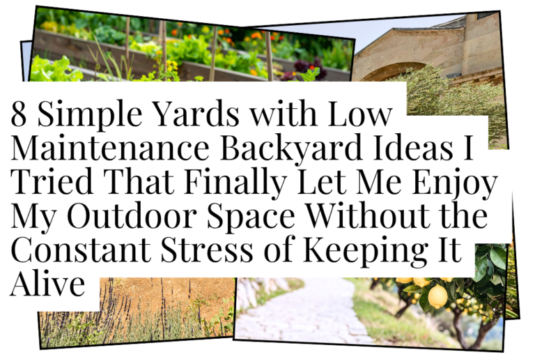 Yards with low maintenance