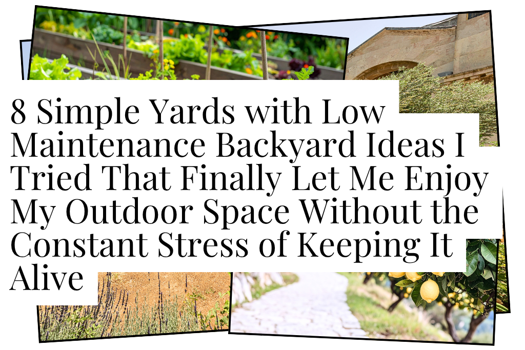 Yards with low maintenance
