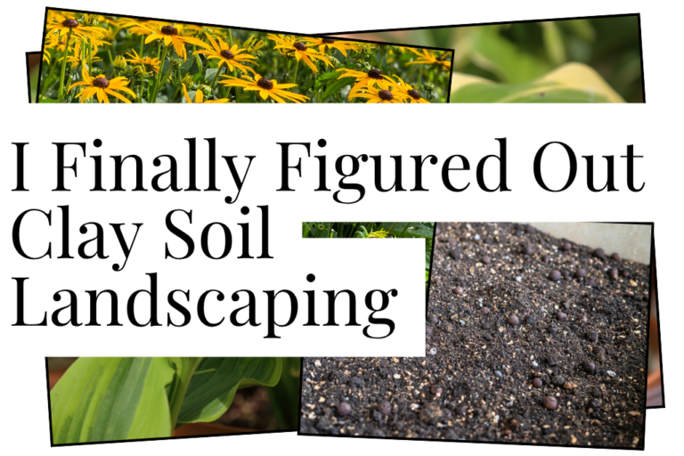 Clay Soil