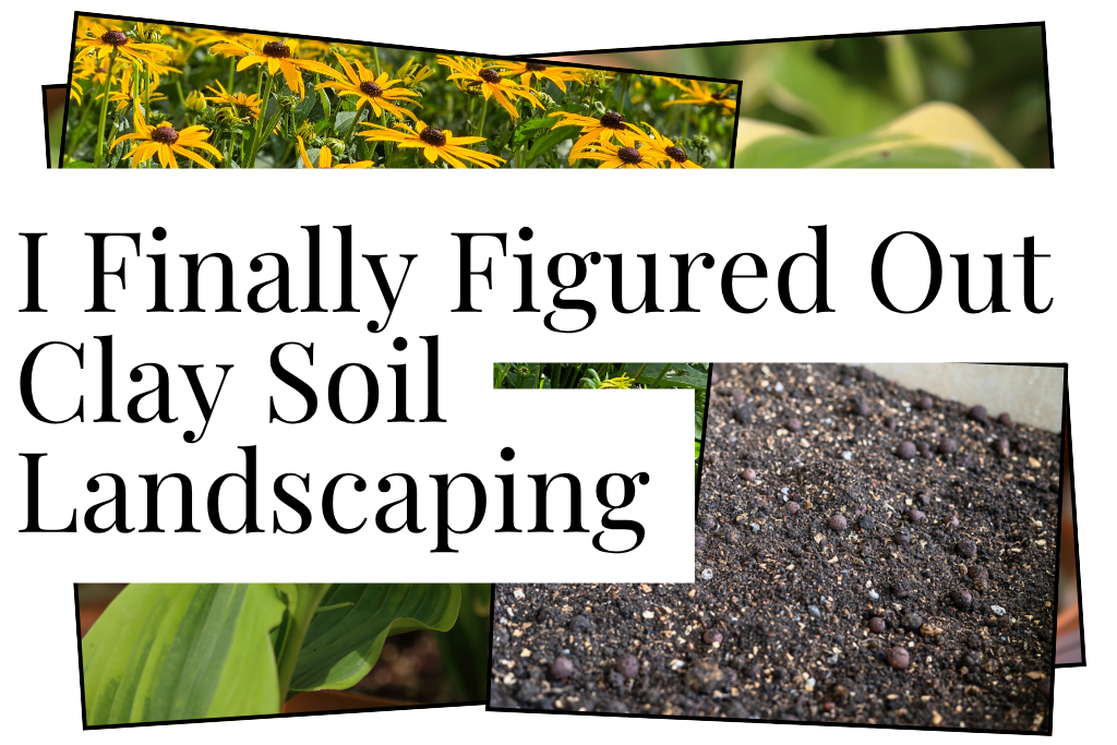 Clay Soil