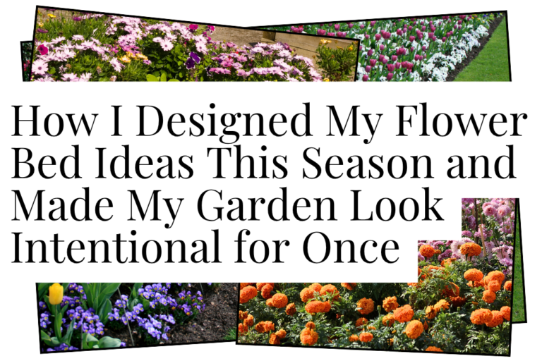 Flower Bed