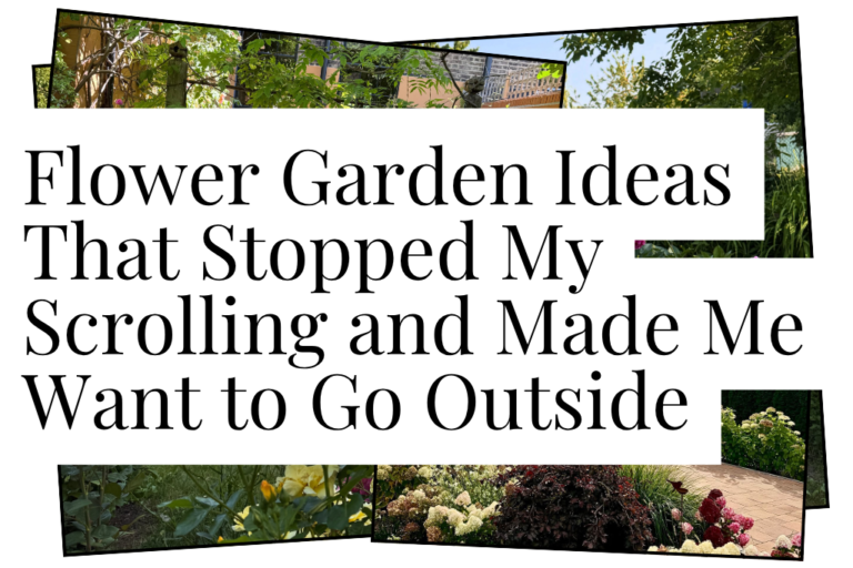 Flower Garden