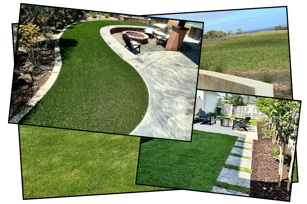 Grass