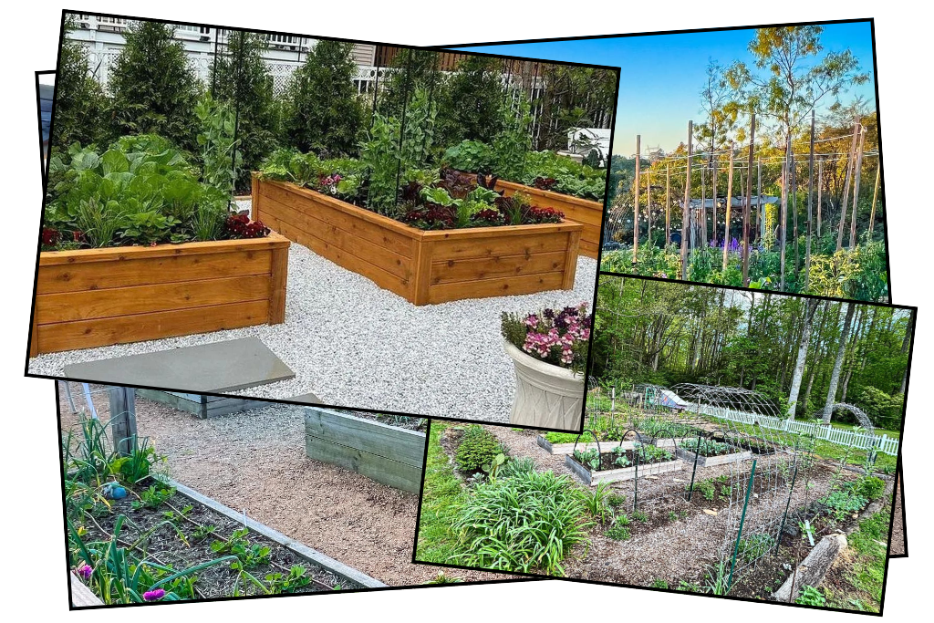 Garden Layout